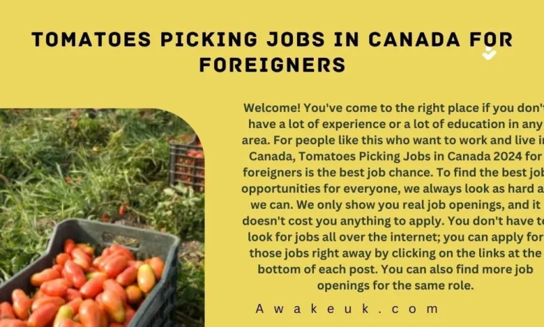 Tomatoes Picking Jobs in Canada