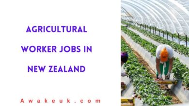 Agricultural Worker Jobs in New Zealand