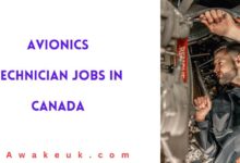 Avionics Technician Jobs in Canada