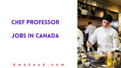 Chef Professor Jobs in Canada