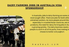 Dairy Farming Jobs in Australia