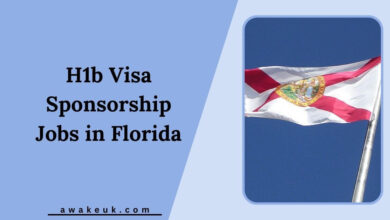 H1b Visa Sponsorship Jobs in Florida