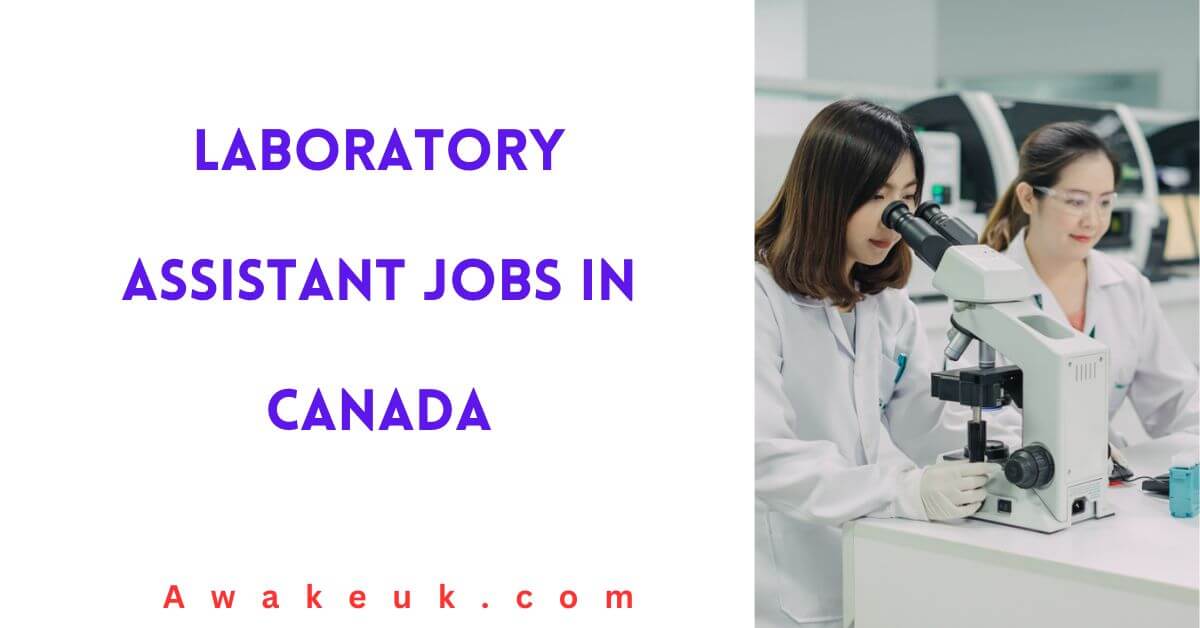 how to get a research assistant job in canada