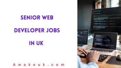Senior Web Developer Jobs in UK
