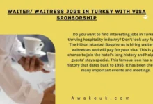Waiter Waitress Jobs in Turkey