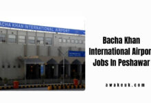 Bacha Khan International Airport Jobs In Peshawar