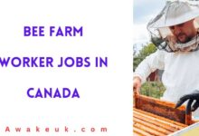 Bee Farm Worker Jobs in Canada