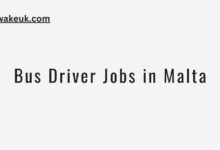 Bus Driver Jobs in Malta