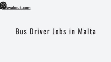 Bus Driver Jobs in Malta
