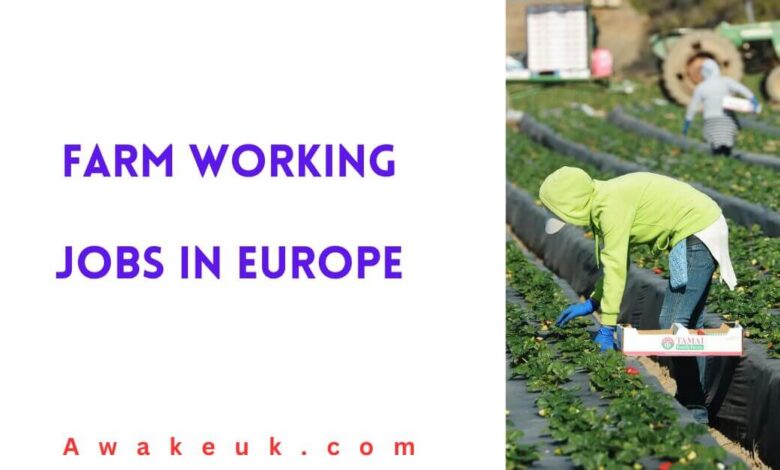 Farm Working Jobs in Europe