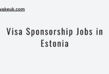 Visa Sponsorship Jobs in Estonia