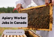 Apiary Worker Jobs in Canada