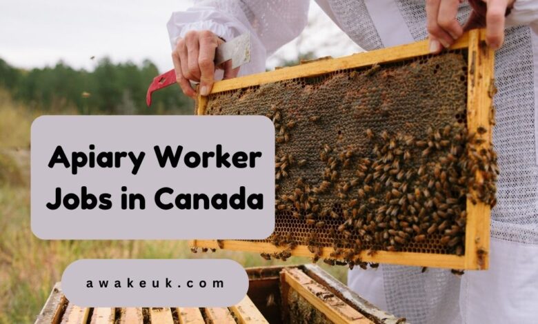 Apiary Worker Jobs in Canada