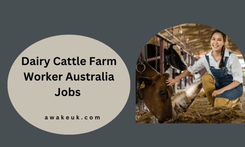 Dairy Cattle Farm Worker Australia Jobs