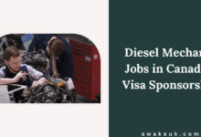 Diesel Mechanic Jobs in Canada - Visa Sponsorship