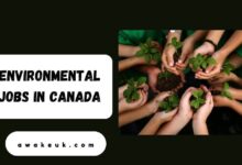 Environmental Jobs in Canada