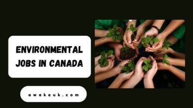 Environmental Jobs in Canada