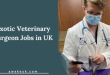 Exotic Veterinary Surgeon Jobs in UK