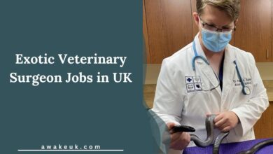 Exotic Veterinary Surgeon Jobs in UK