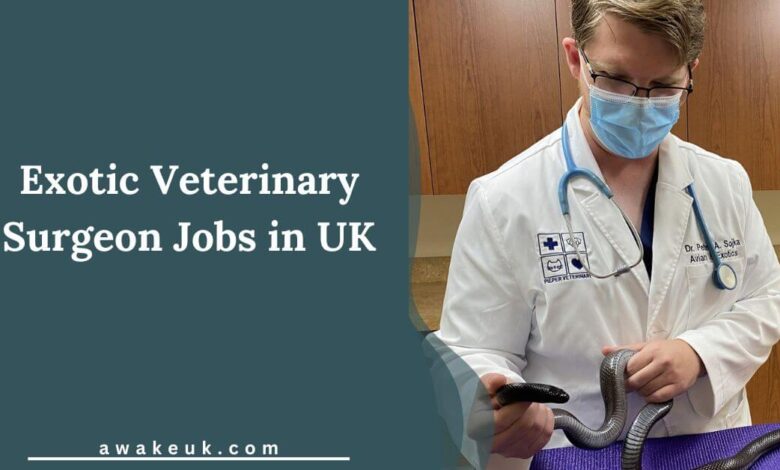 Exotic Veterinary Surgeon Jobs in UK