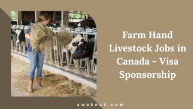 Farm Hand Livestock Jobs in Canada - Visa Sponsorship