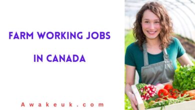 Farm Working Jobs in Canada