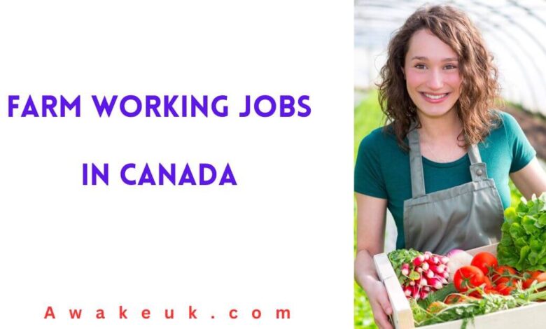 Farm Working Jobs in Canada