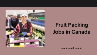 Fruit Packing Jobs in Canada