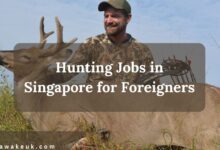 Hunting Jobs in Singapore for Foreigners