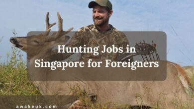 Hunting Jobs in Singapore for Foreigners