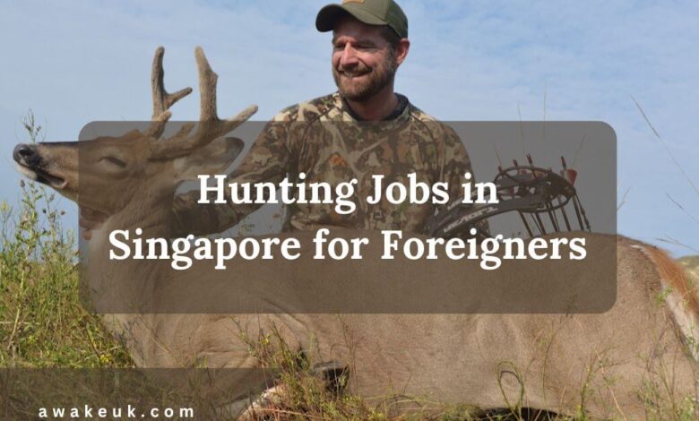 Hunting Jobs in Singapore for Foreigners