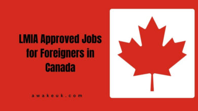 LMIA Approved Jobs for Foreigners in Canada