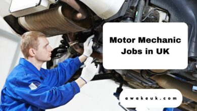 Motor Mechanic Jobs in UK