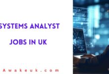 Systems Analyst Jobs in UK