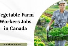 Vegetable Farm Workers Jobs in Canada