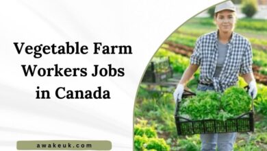 Vegetable Farm Workers Jobs in Canada