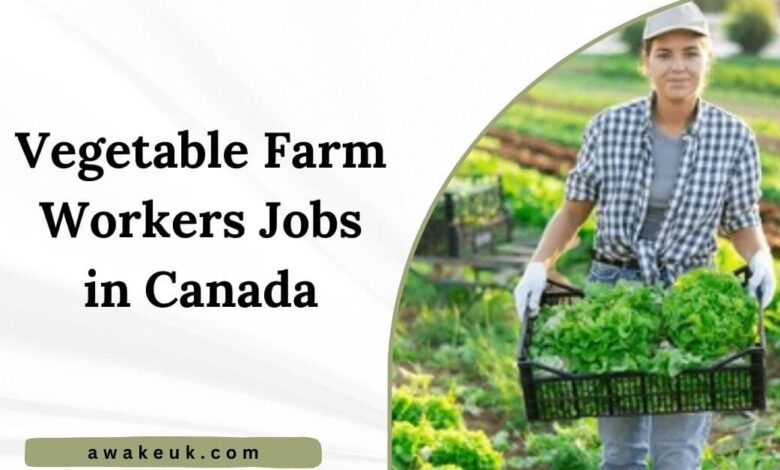 Vegetable Farm Workers Jobs in Canada