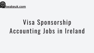 Visa Sponsorship Accounting Jobs in Ireland
