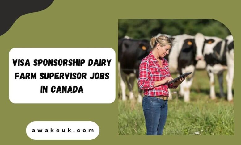 Visa Sponsorship Dairy Farm Supervisor Jobs in Canada