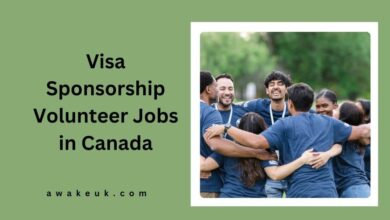 Visa Sponsorship Volunteer Jobs in Canada