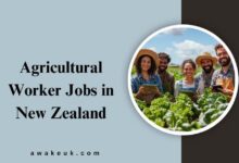 Agricultural Worker Jobs in New Zealand