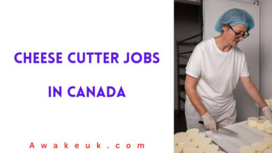 Cheese Cutter Jobs in Canada