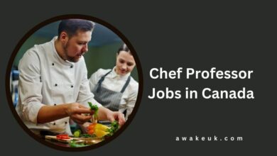 Chef Professor Jobs in Canada