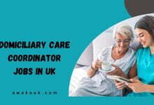 Domiciliary Care Coordinator Jobs in UK