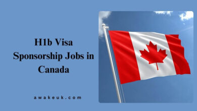 H1b Visa Sponsorship Jobs in Canada