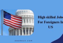 High skilled Jobs For Foreigners In US