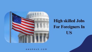 High skilled Jobs For Foreigners In US