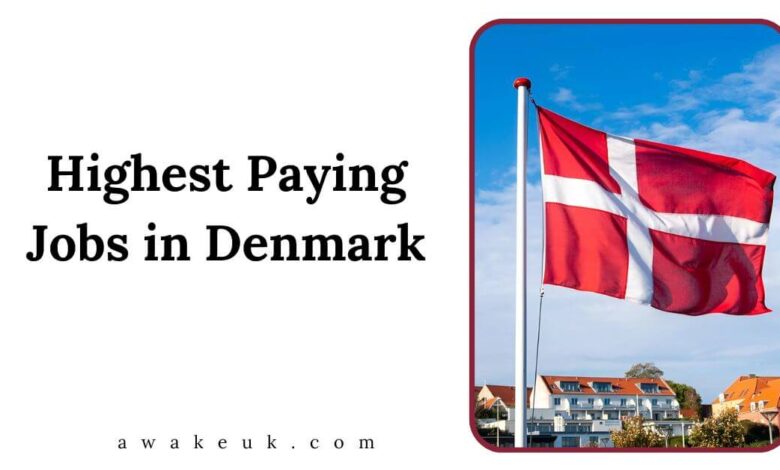 Highest Paying Jobs in Denmark