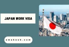 Japan Work Visa