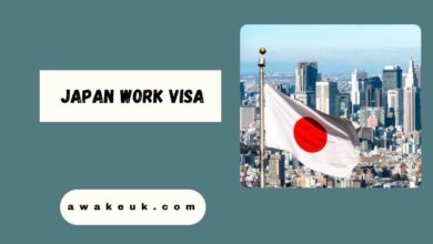 Japan Work Visa